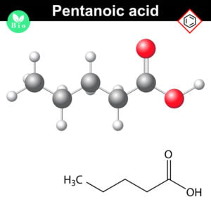 Pentanoic Acid structure
