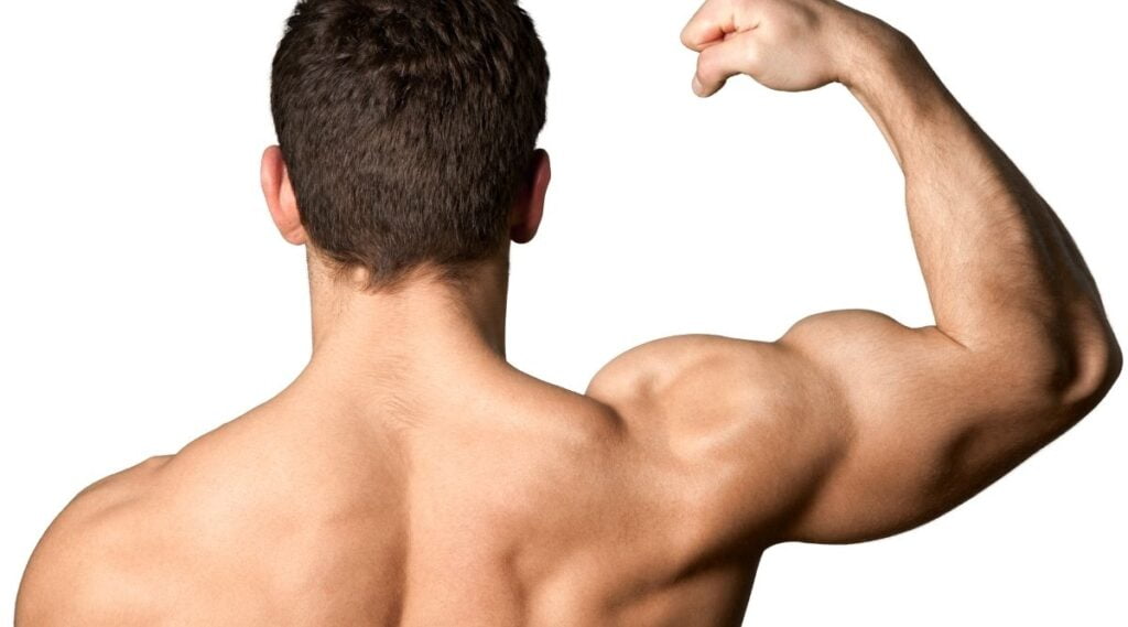 Increasing Muscle Mass