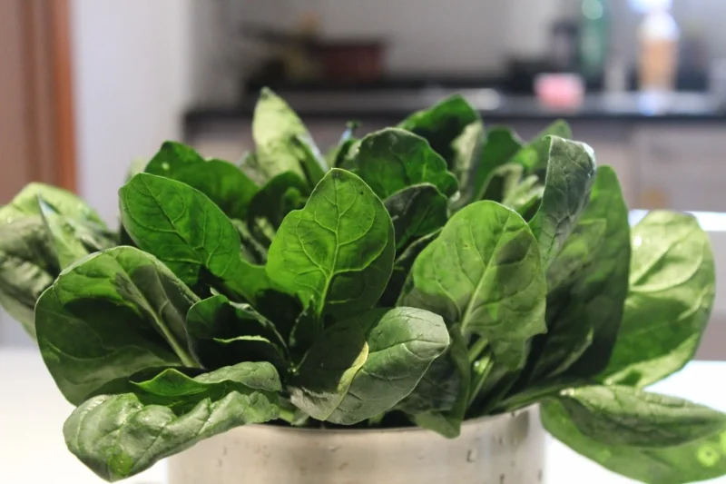 best foods to eat for breakfast to boost testosterone leafy green vegetables