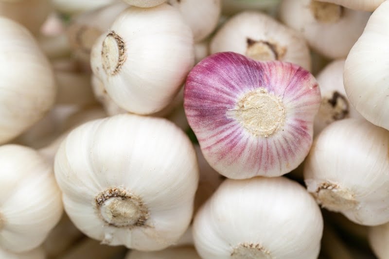 best testosterone booster herbs garlic