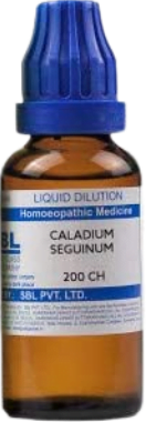 buy caladium online