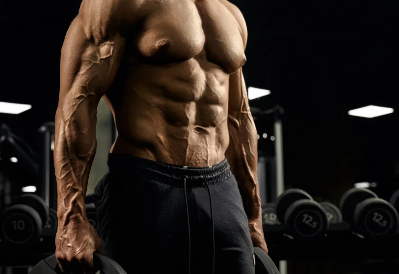 MuscleTech Test HD Review 2026: Benefits, Ingredients, & Side Effects 2
