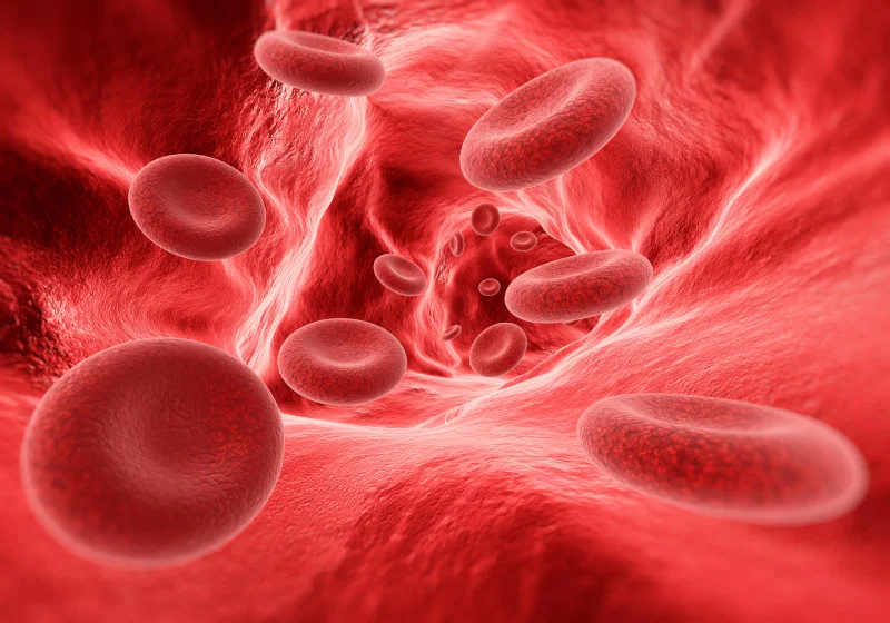 How Does Testosterone Affect the Body? (Explained) 7