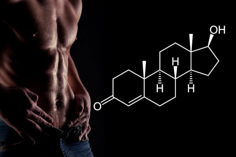 Where Is Testosterone Produced In The Body Explained In Detail 